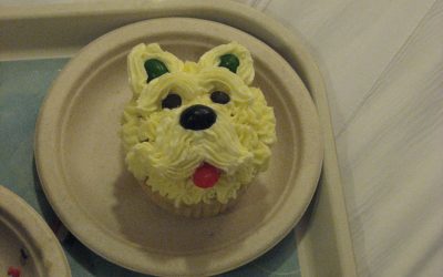 Cupcake Decorating on a Cruise?