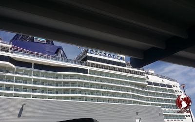 Cruises – Masks Not Optional