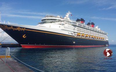 Booking a Cruise? Consider These Items First